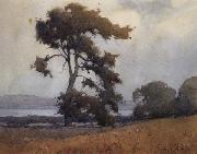 unknow artist, California landscape